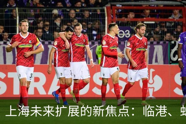 上海未来扩展的新焦点：临港、虹桥与嘉定的较量